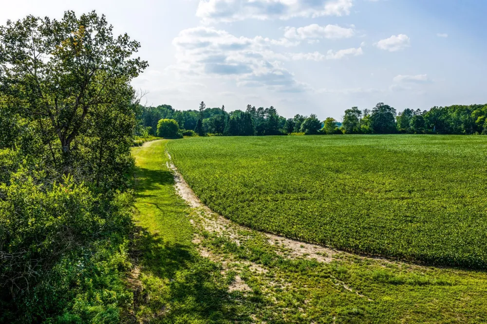 TBD Buzzle Road NW Shevlin, MN 56676