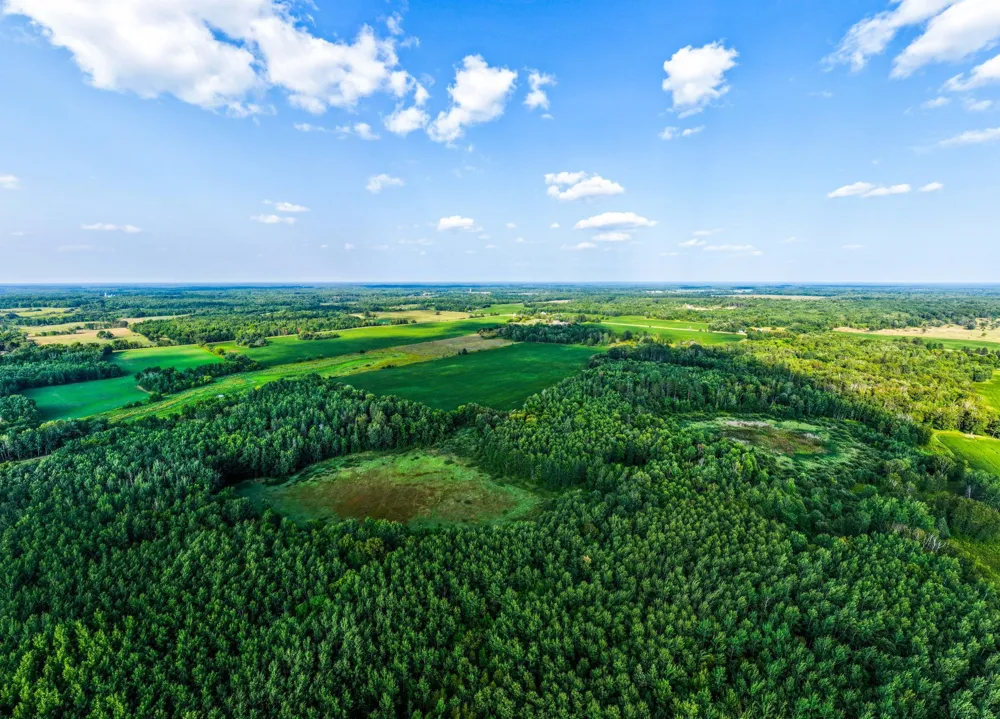 TBD Buzzle Road NW Shevlin, MN 56676