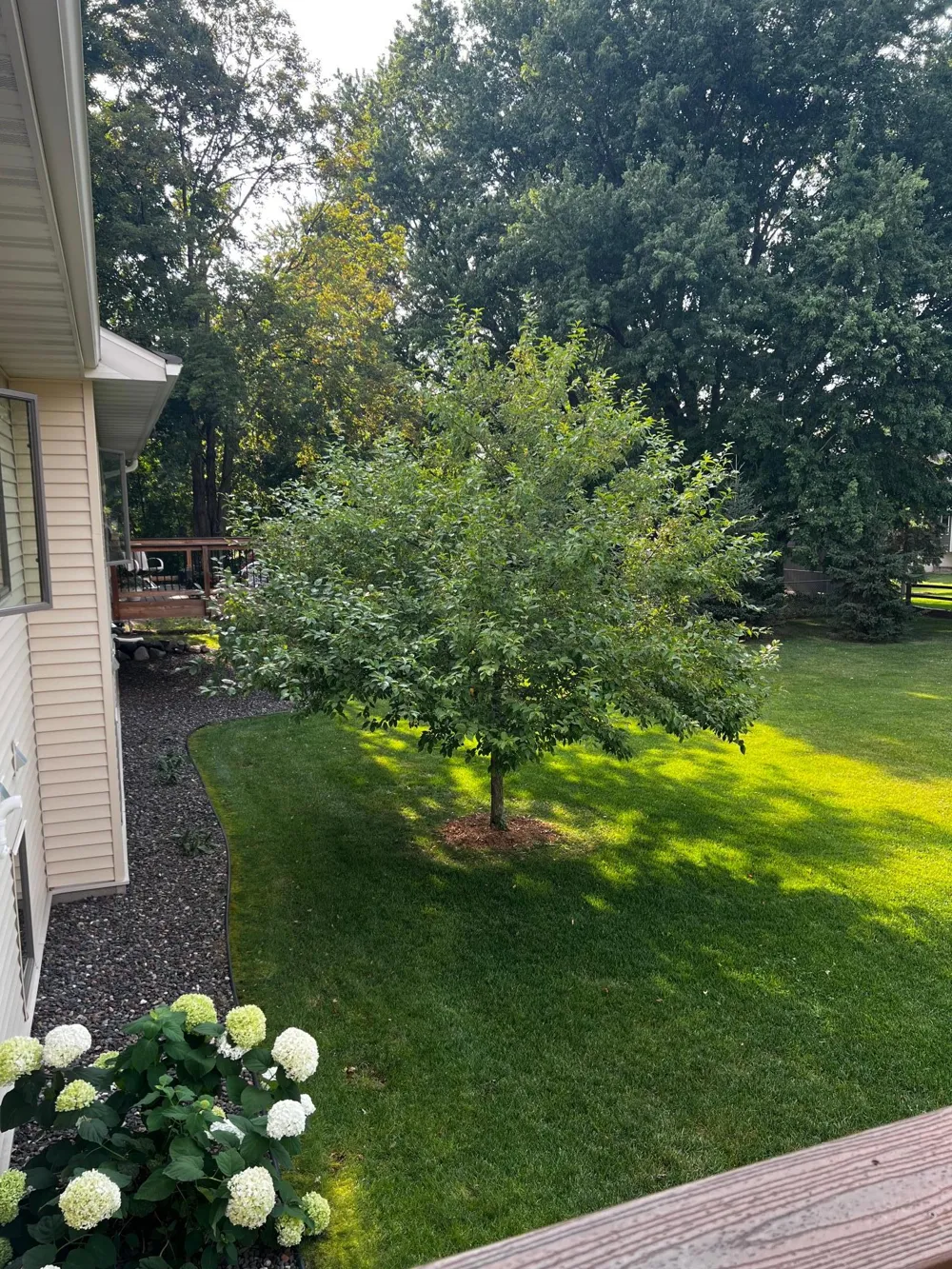 2365 Skillman Avenue E North Saint Paul, MN 55109
