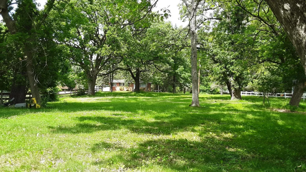 3xx 3rd Street NW Forest Lake, MN 55025