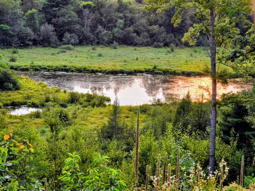 N1335 Pine Grove Road Sarona, WI 54870