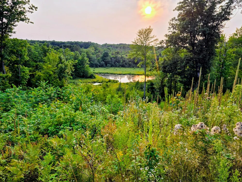 N1335 Pine Grove Road Sarona, WI 54870