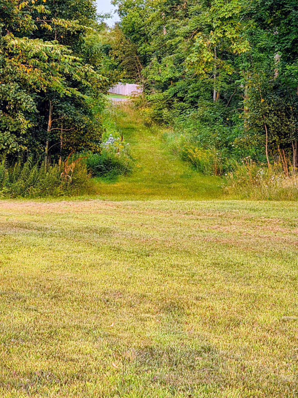 N1335 Pine Grove Road Sarona, WI 54870