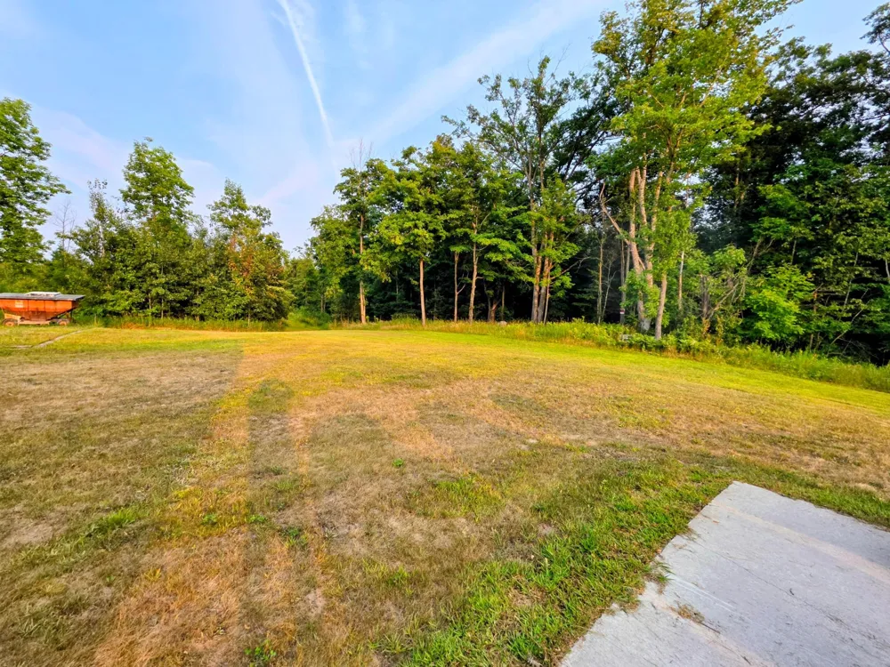 N1335 Pine Grove Road Sarona, WI 54870