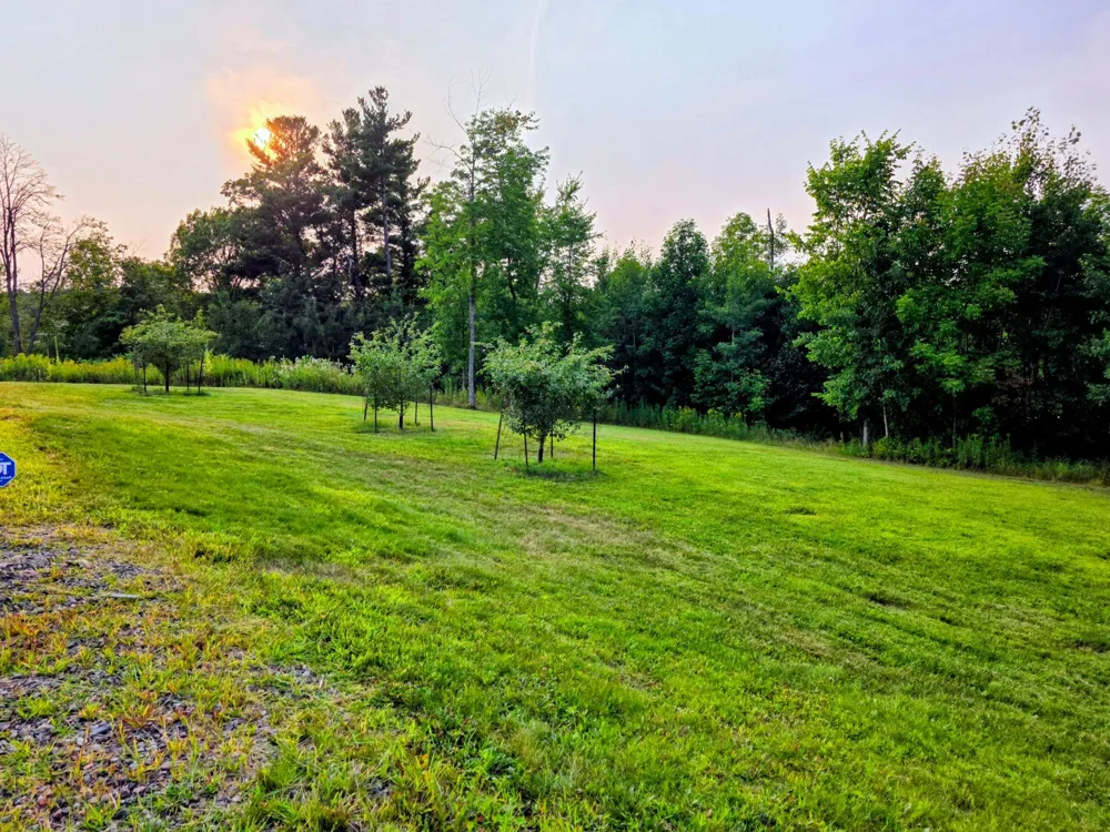 N1335 Pine Grove Road Sarona, WI 54870