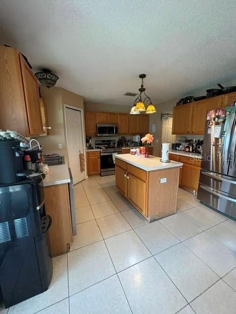 2254 MARBLE AVENUE Spring Hill, FL 34609
