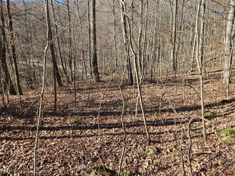 0 Keener Hill Road Pikeville, TN 37367