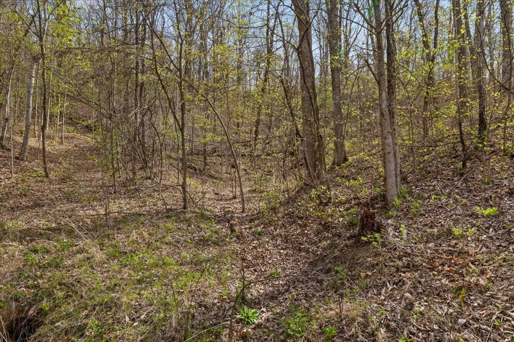 0 Keener Hill Road Pikeville, TN 37367
