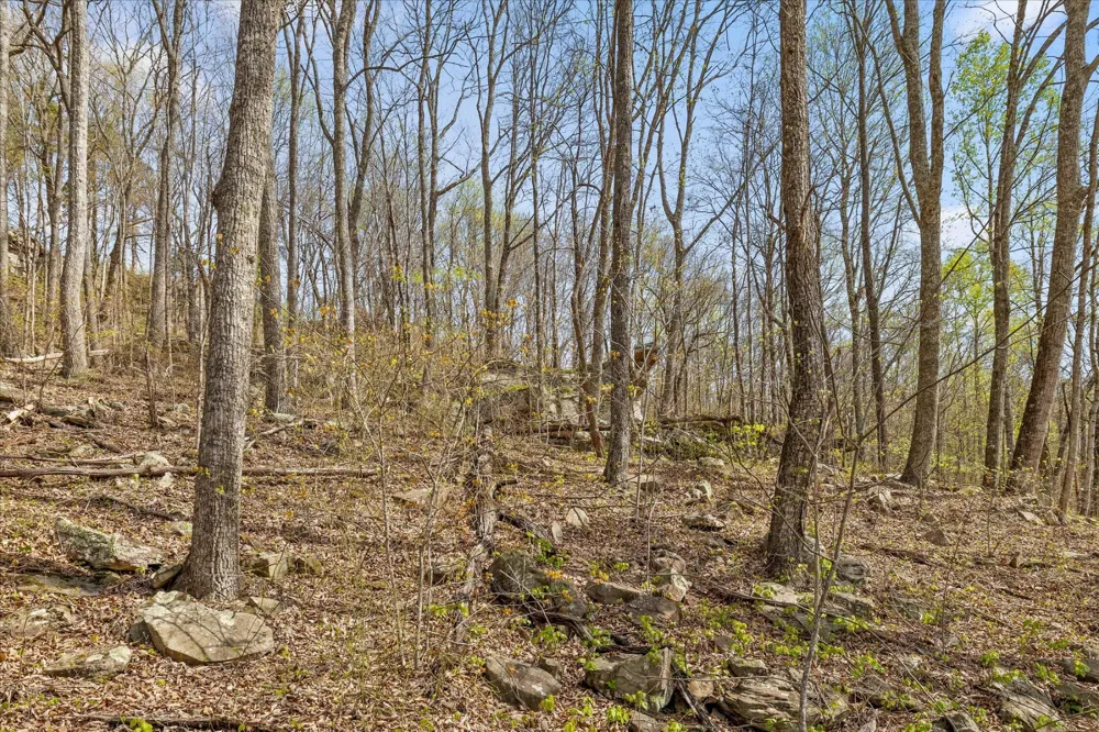 0 Keener Hill Road Pikeville, TN 37367