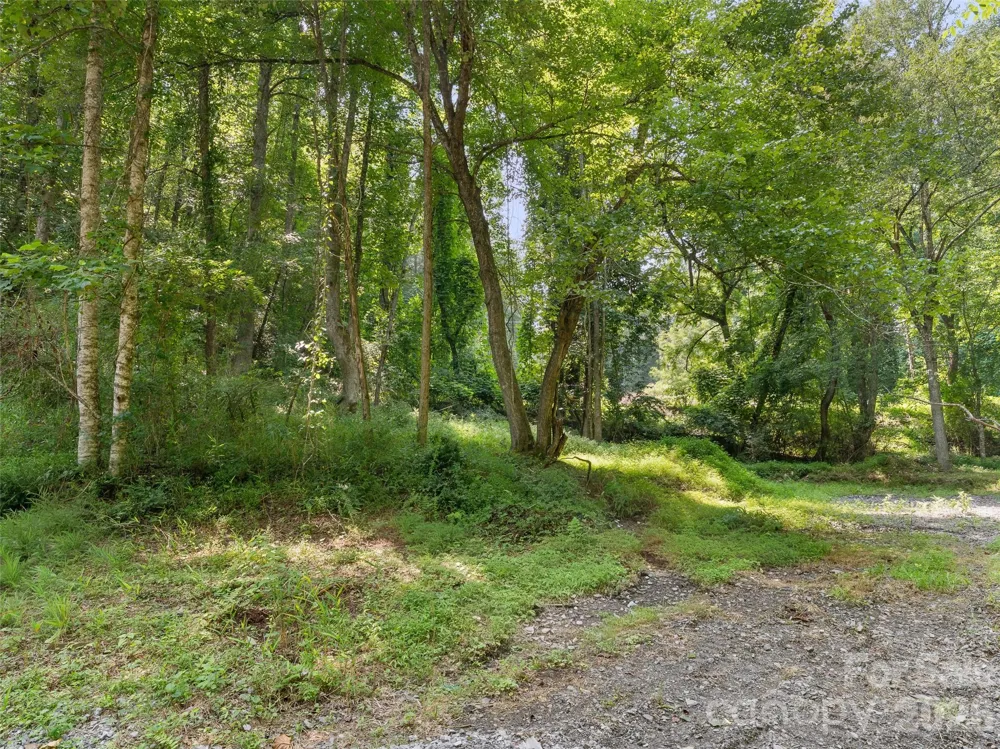 1110 Probart Street #3 Brevard, NC 28712