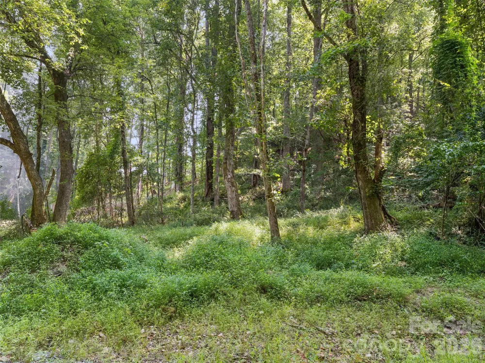 1110 Probart Street #3 Brevard, NC 28712