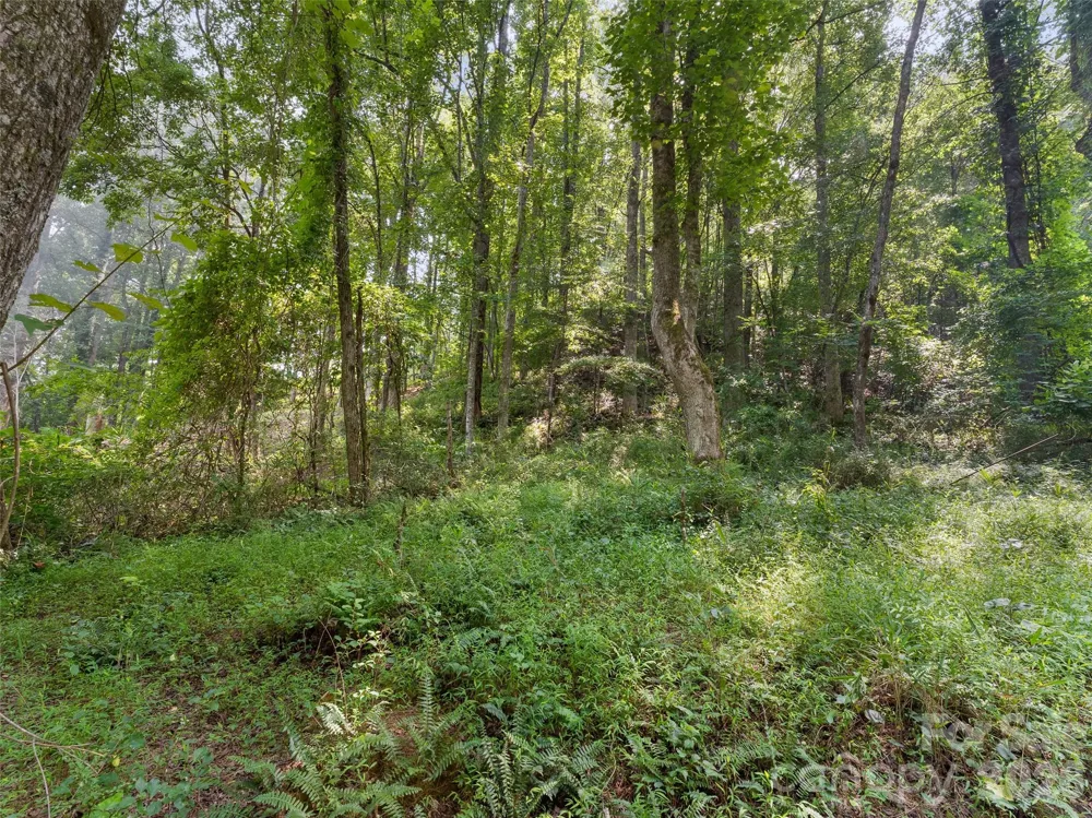 1110 Probart Street #3 Brevard, NC 28712