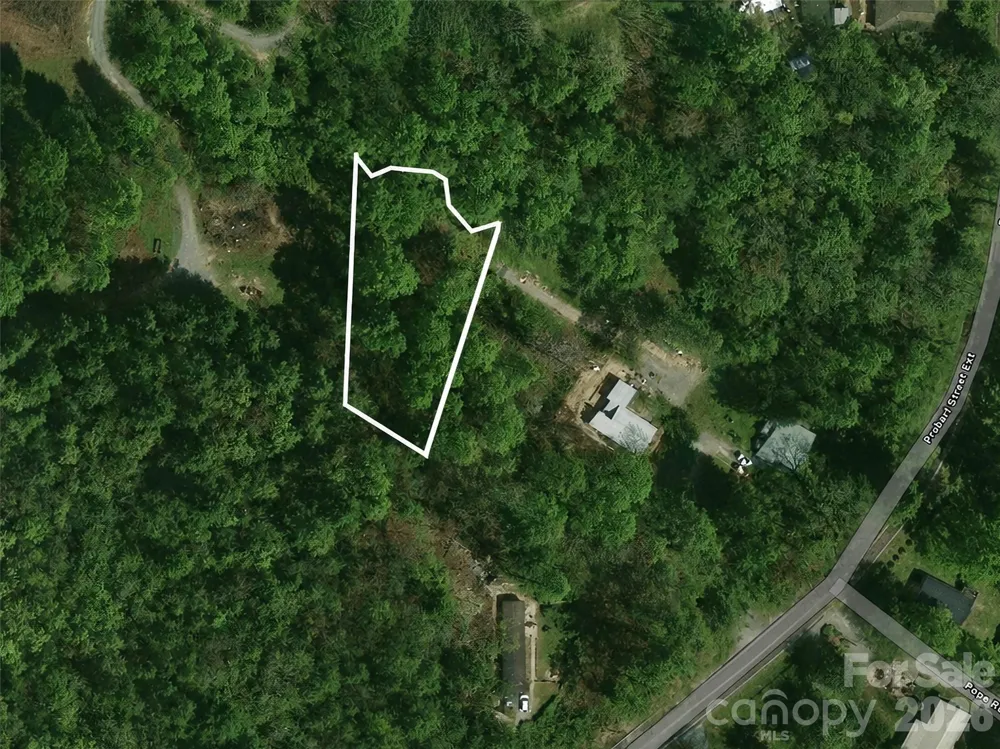 1110 Probart Street #3 Brevard, NC 28712