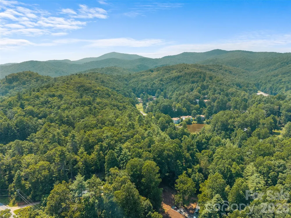 1110 Probart Street #3 Brevard, NC 28712