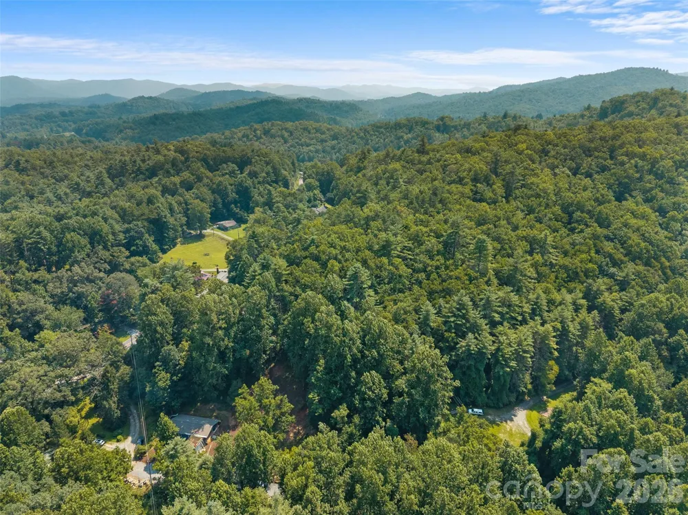 1110 Probart Street #3 Brevard, NC 28712