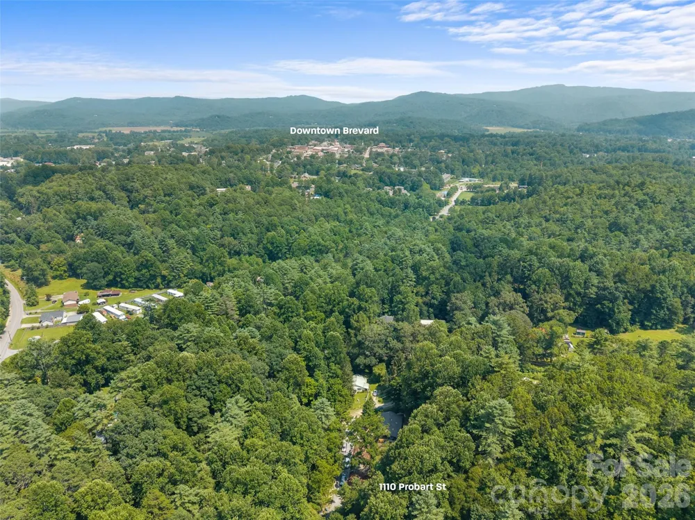 1110 Probart Street #3 Brevard, NC 28712