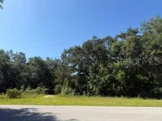 TBD SE 59TH PLACE Ocklawaha, FL 32179