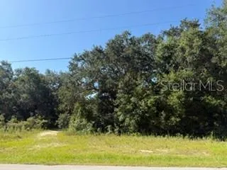 TBD SE 59TH PLACE Ocklawaha, FL 32179