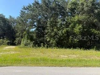 TBD SE 59TH PLACE Ocklawaha, FL 32179