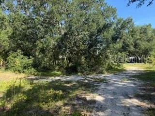 TBD SE 59TH PLACE Ocklawaha, FL 32179