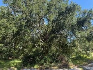 TBD SE 59TH PLACE Ocklawaha, FL 32179