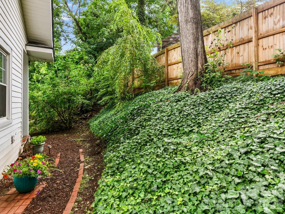 27 Warwick Road Asheville, NC 28803