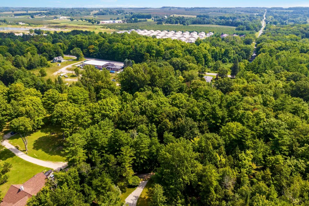 6936 Birchwood Elk Rapids Township, MI 49648