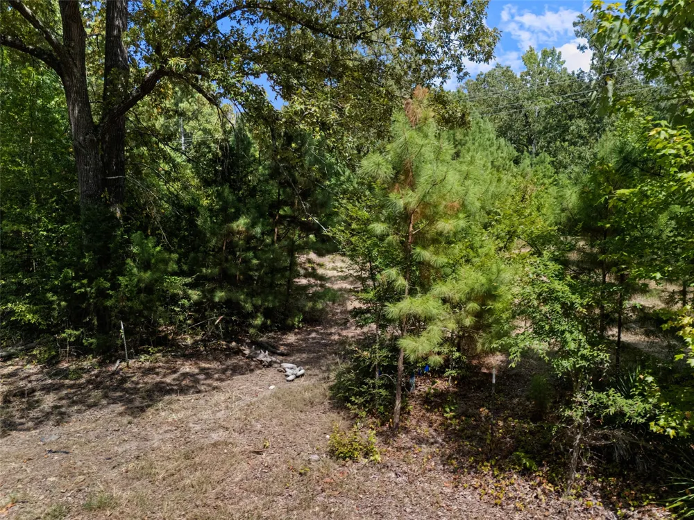 8434 2796 ROAD Gilmer, TX 75644