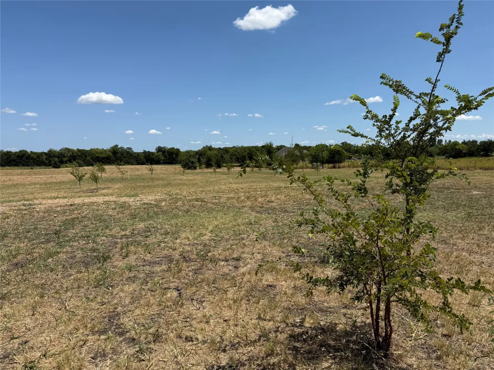 101 CR 4709 Leonard, TX 75452