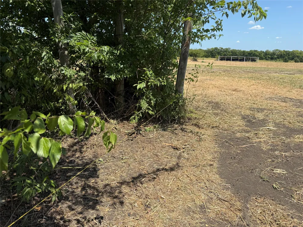 101 CR 4709 Leonard, TX 75452