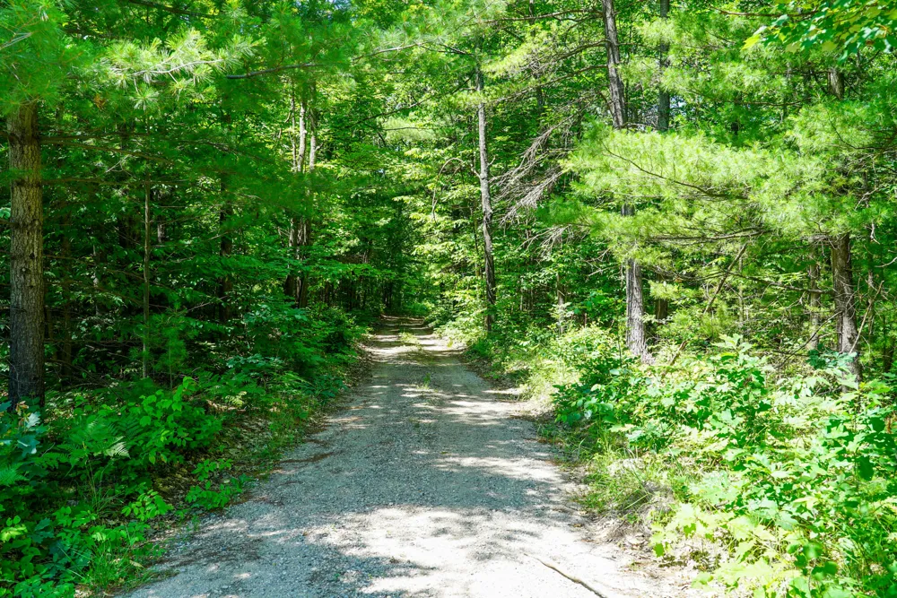11775 Country Acres Drive Interlochen, MI 49643