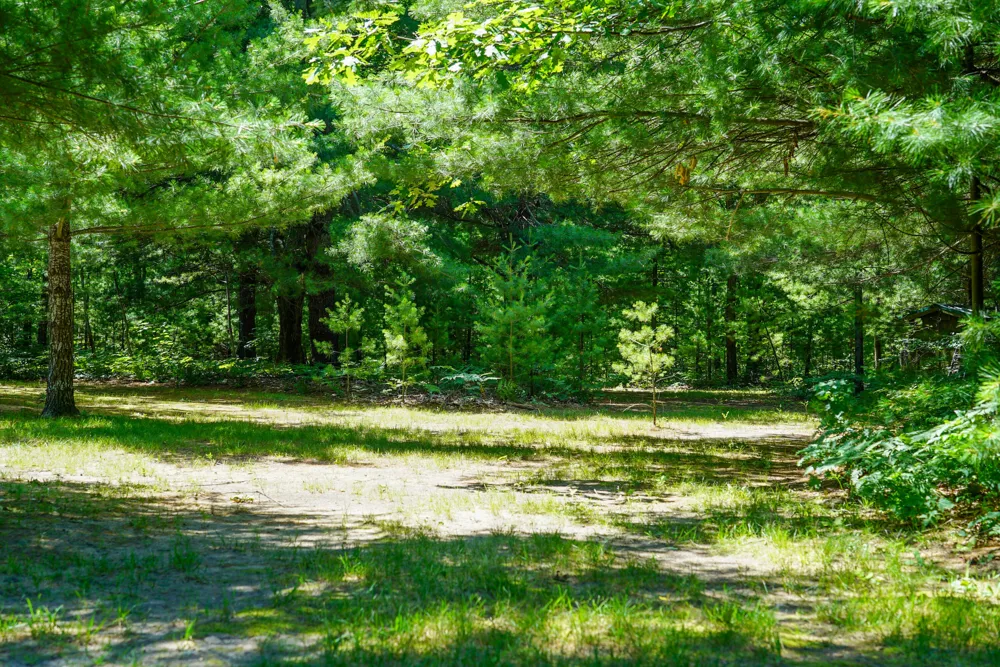 11775 Country Acres Drive Interlochen, MI 49643