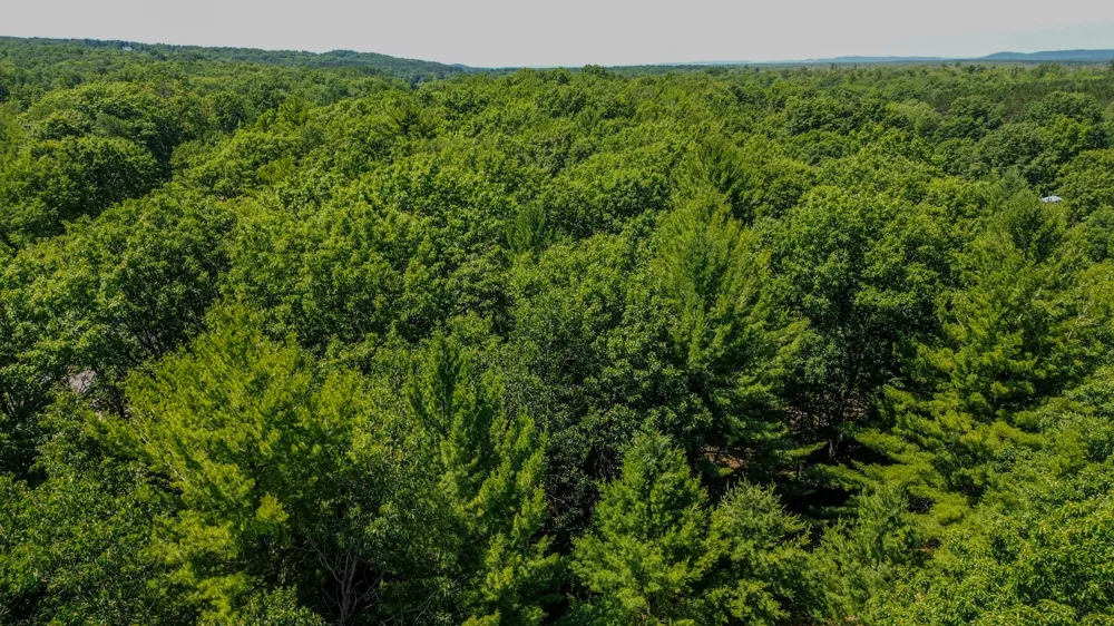 11775 Country Acres Drive Interlochen, MI 49643