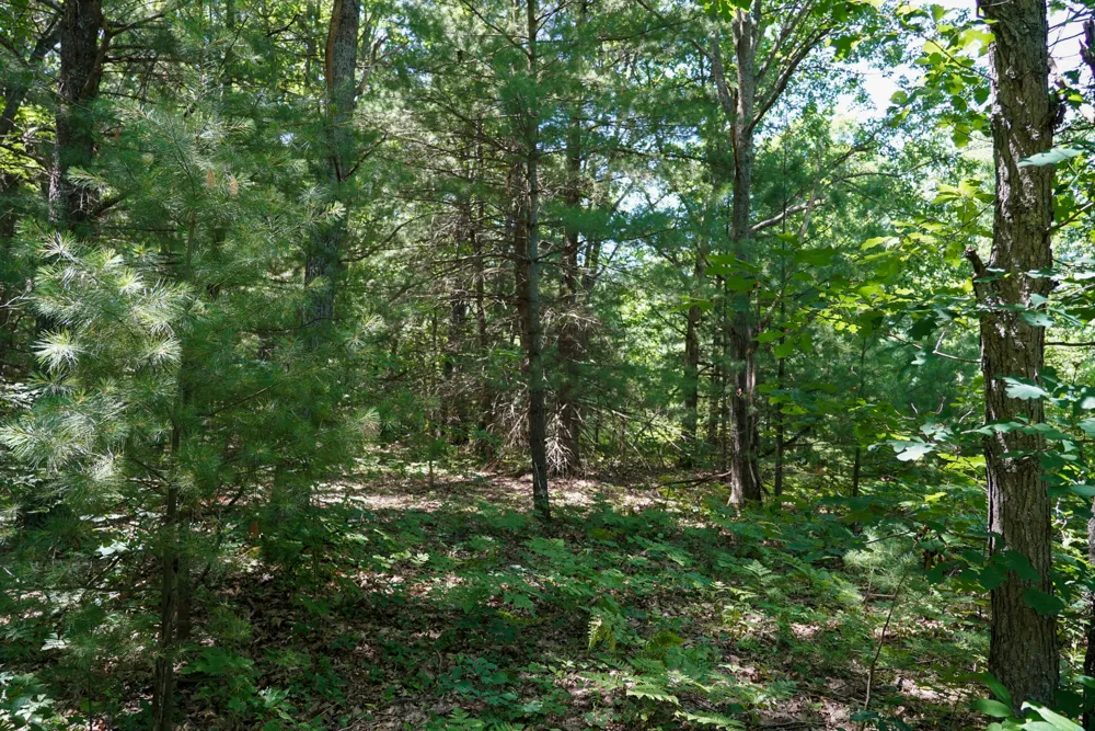 11775 Country Acres Drive Interlochen, MI 49643