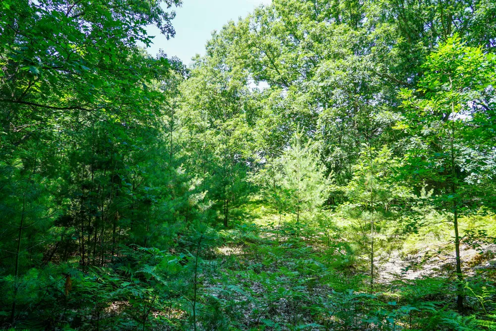 11775 Country Acres Drive Interlochen, MI 49643