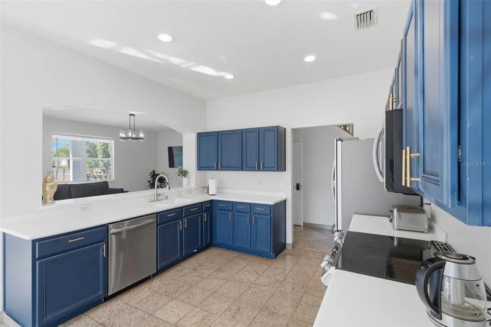 1542 MCCREA DRIVE Lutz, FL 33549