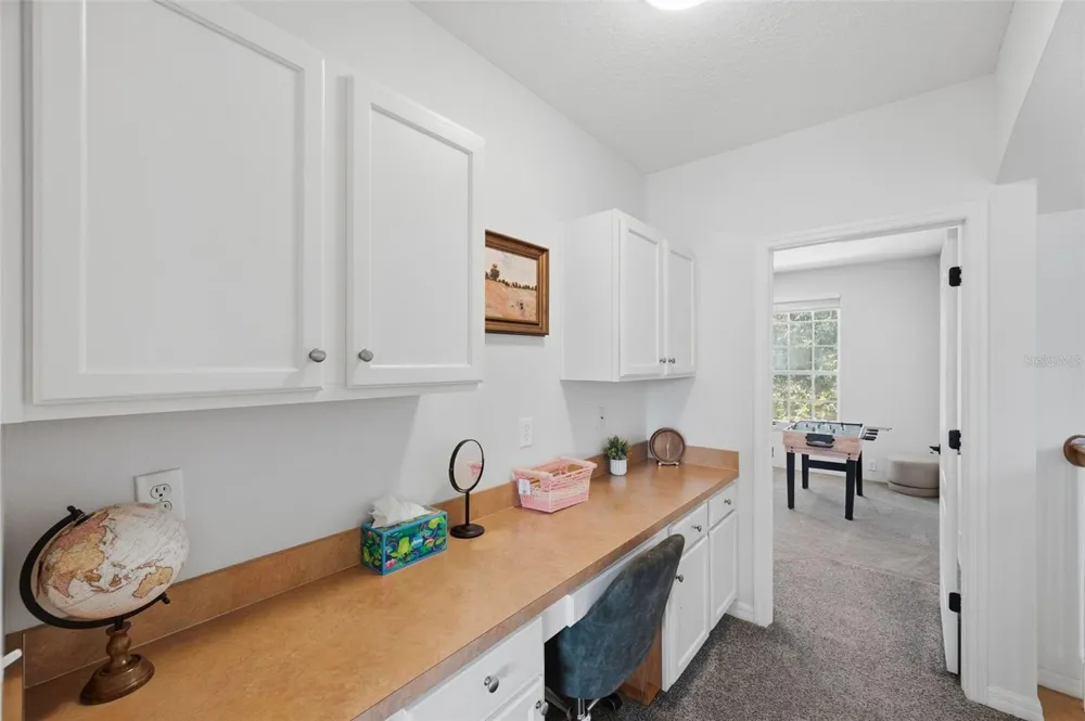 1542 MCCREA DRIVE Lutz, FL 33549