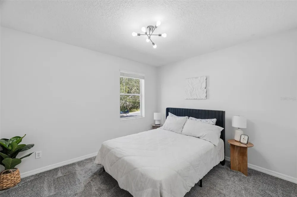 1542 MCCREA DRIVE Lutz, FL 33549