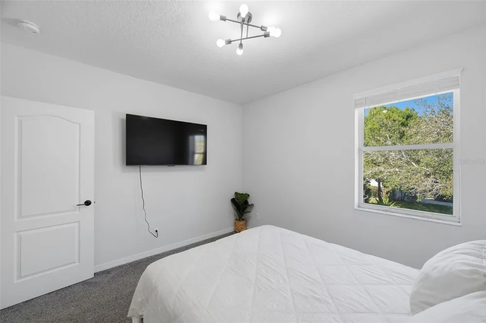 1542 MCCREA DRIVE Lutz, FL 33549