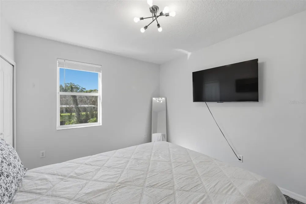 1542 MCCREA DRIVE Lutz, FL 33549