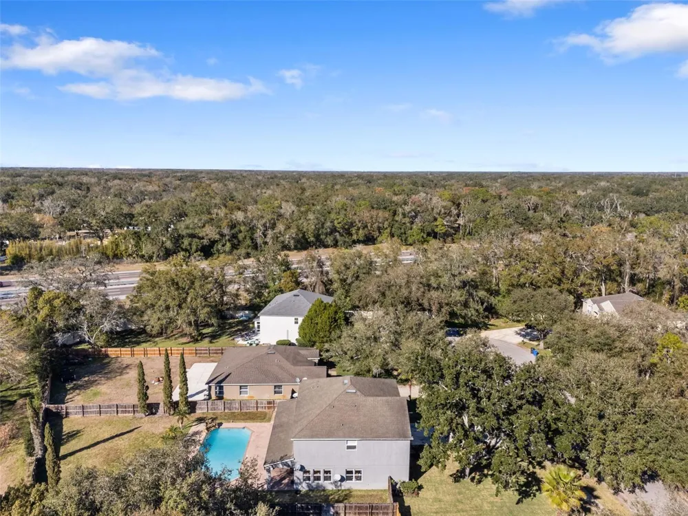 1542 MCCREA DRIVE Lutz, FL 33549