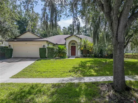8834 ALAFIA COVE DRIVE