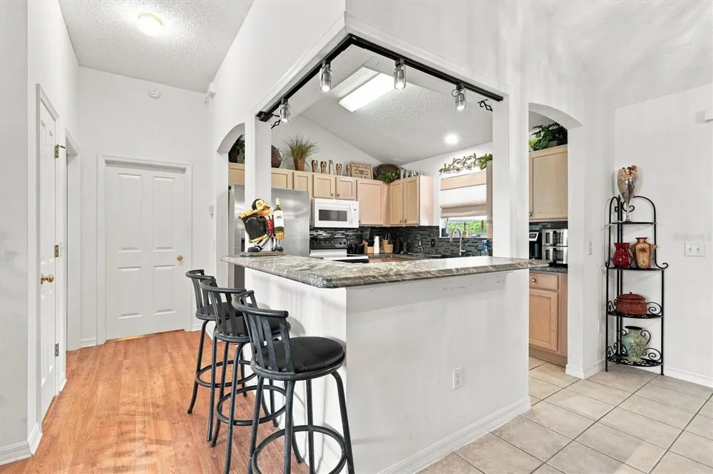 3425 CARBONDALE COURT The Villages, FL 32162