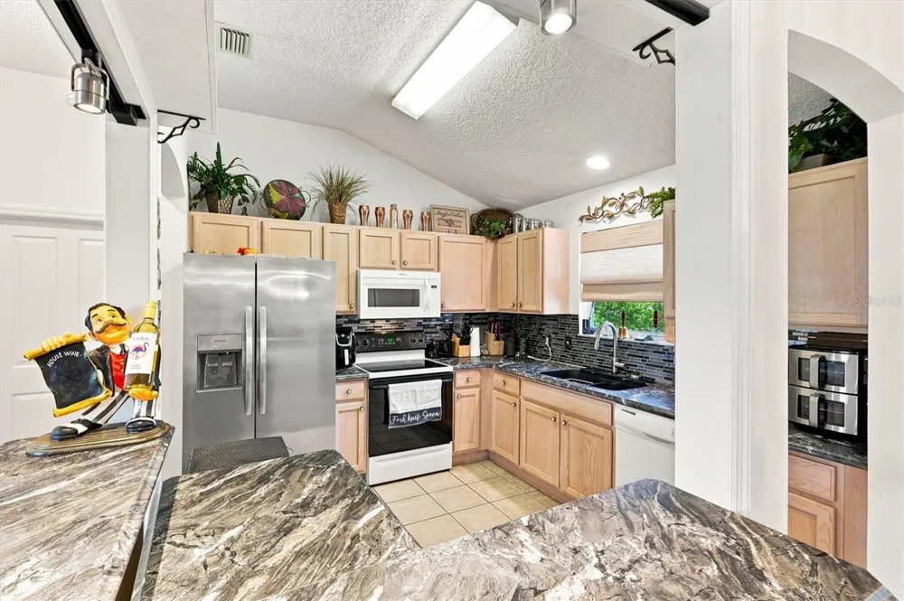 3425 CARBONDALE COURT The Villages, FL 32162