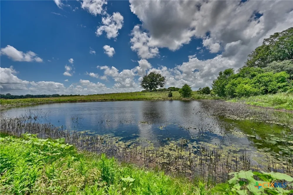 1552 Holub Road Schulenburg, TX 78956