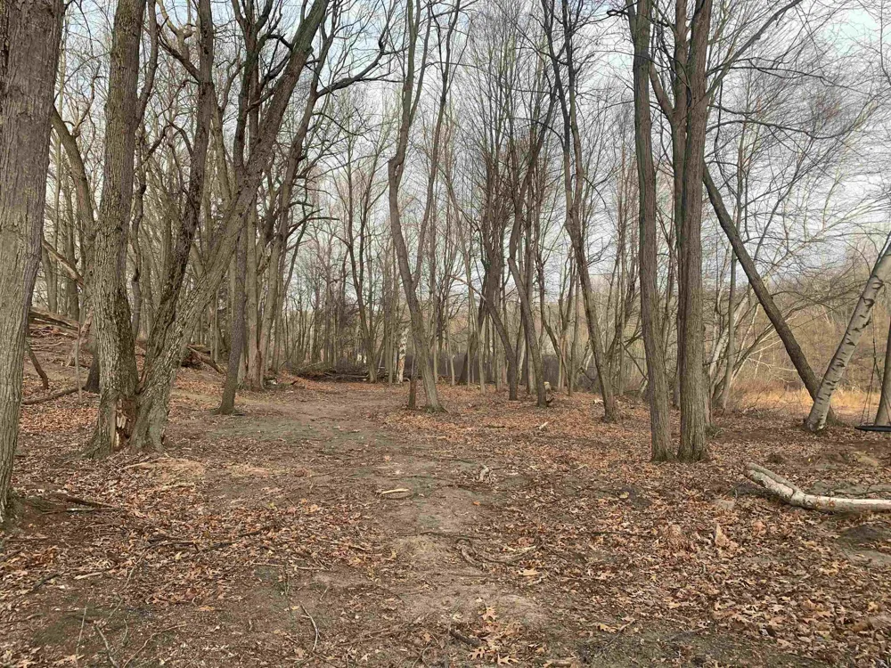 1439 Larkspur Lane Oxford Charter Township, MI 48371