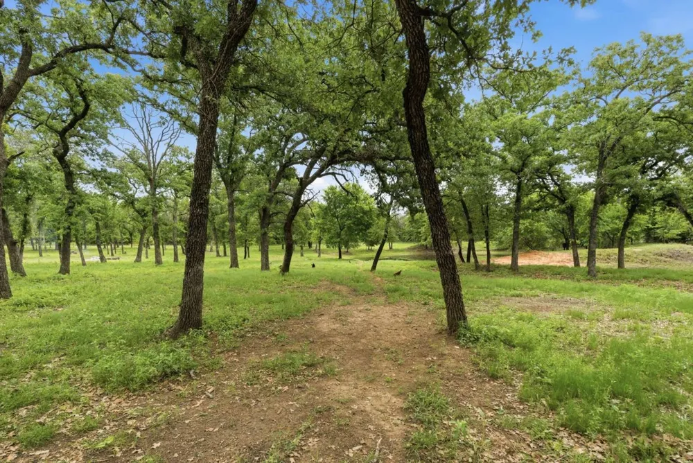 1012 Cheyenne Road Poolville, TX 76487