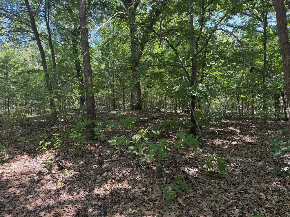 Oak Hills Drive Tishomingo, OK 73460