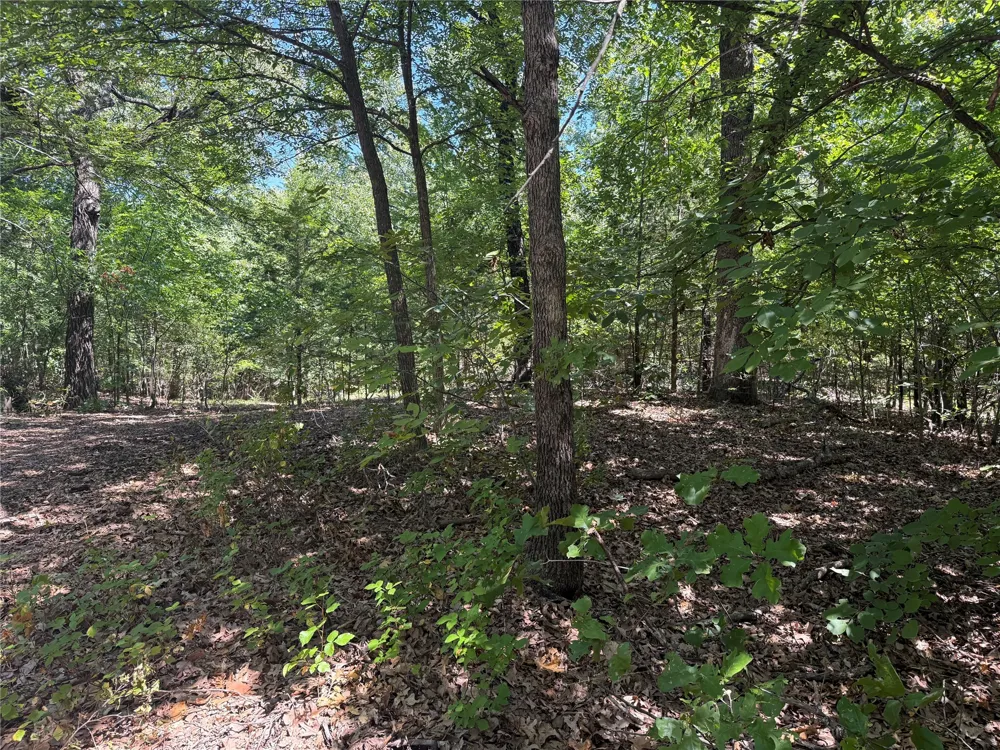Oak Hills Drive Tishomingo, OK 73460