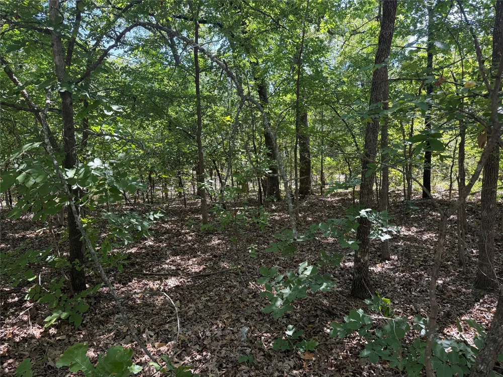 Oak Hills Drive Tishomingo, OK 73460